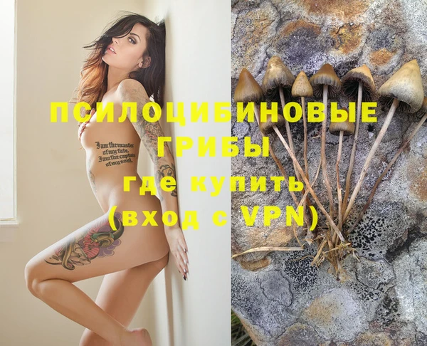 мяу мяу мука Алзамай