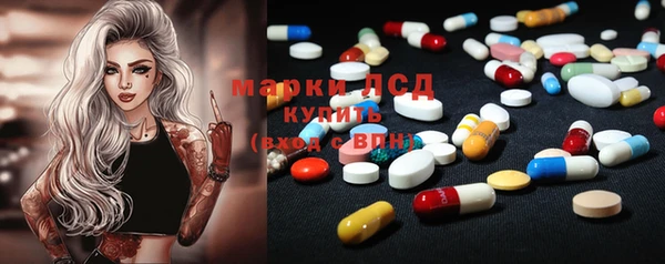 гидра Абаза
