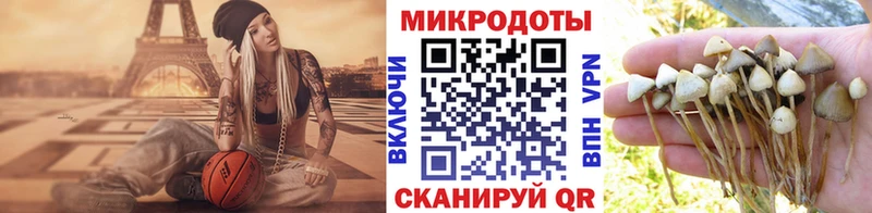 Псилоцибиновые грибы мицелий  Мантурово 